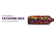 Catavins 2012, experiencia vinoscopio