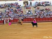 Diputación rechaza rebajar contrato Malagueta