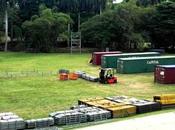 !Exclusivo!: Zuccero ensaya junto músicos cubanos