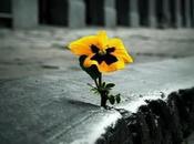 Nada puede limitar auténtica vida