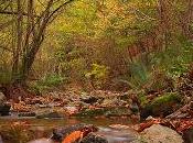 Ríos otoño