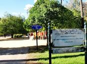 Glorieta Viena.
