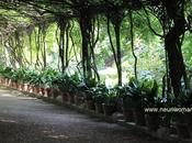 Celador Glicinias: Jardín Botánico Málaga.