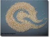 Quinoa real