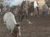 Charreadón 391.25 promedio