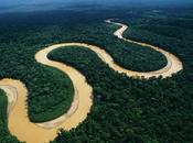 partir mundo verá rostro toda Amazonía