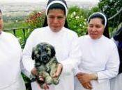 ´Perla´ queda vivir monjas