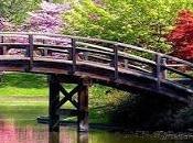 “educar empoderando”: puente para cambiar territorio nuestros pensamientos