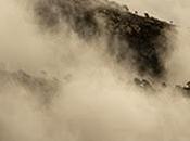 [Apuesta Telúrica] Malesterres (No) Massa Tard