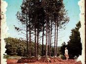 profundidad: bosque