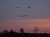 sonrisa dios