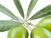 Extracto hoja oliva para salud corazón.
