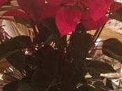 Flor Julia