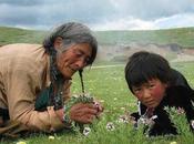 Educar desde espíritu científico