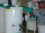 Biodiesel Cuba afectar alimentación humana