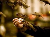 Mensaje Navidad, cosas importan