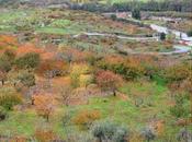 Valle Jerte, destino ideal para visitar durante todo