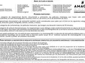 Convocatoria Ariel 2013