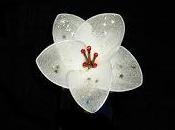 deseo flor blanca, salud