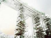 Viaducto habitable calabria