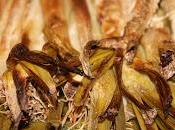 Calçots Salsa