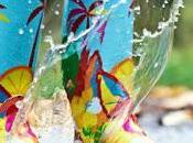 Havaianas, Rain boots. Color para dias grises.