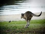 revolución fondo forma