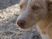 Neis seis meses conoce abancono