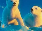 Coca Cola estrena cortometraje osos polares.