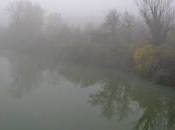 Niebla