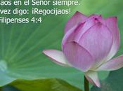Regocijaos señor