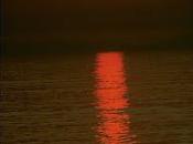 Solitud