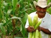 Progresos contra hambre Guatemala? pero...