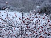 Invierno, pero menos