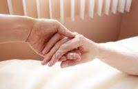 primer deseo flor verde