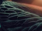 Michael mike música negra