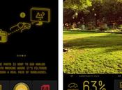 Ray-Ban, rizando rizo Instagram