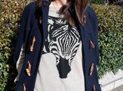 Hello Zebra