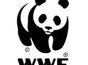 insta Marine Harvest retirar producción salmones lagos