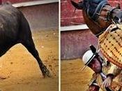 “toristas”, “toreristas” demás “istas”