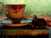 Nuevo proyecto: ¡lecturas conjuntas Entre Geckos!