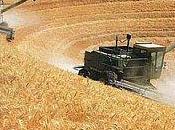 EE.UU.: prevén caída precios soja maíz