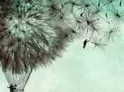 Vuelo