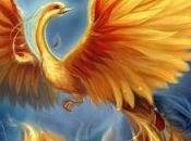 Como 'Ave Fenix'