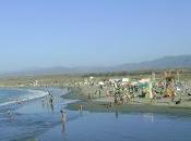 Caracoles playas Tongoi.