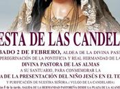 Fiesta candelas