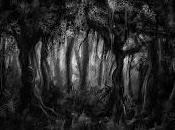 sabor, desaparecido, tenue calor maña...