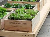 Ideas para decorar jardín reciclando