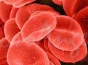 Valores normales hemoglobina