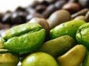 Café verde, excelente antioxidante ayuda para adelgazar